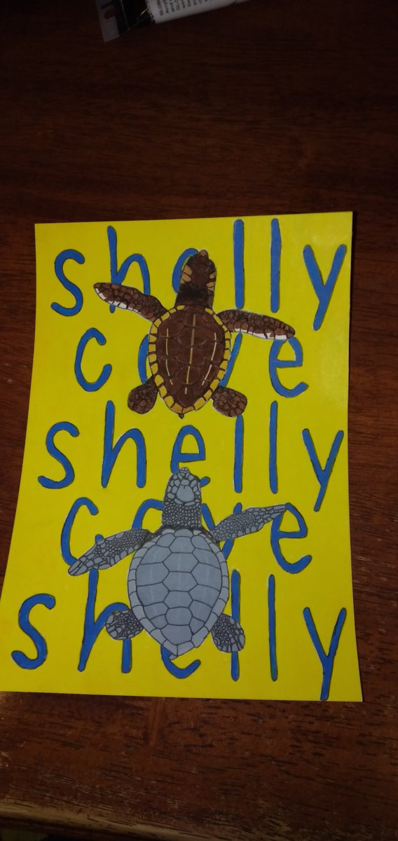I've finally completed the baby turtles with <a href="/ShopShellyCove/">shelly cove 🐢</a>  in the back ground 🐢🐢