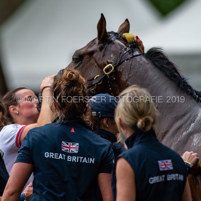 MF_Fotografie's tweet photo. Maarsbergen - EM Jun JR
Team GB 
close your eyes... Thank you! #eventing #eventingteamgbr #EEC19 #eventinggbr #maarsbergenhorsetrails #horsesports #riding #equestrian #BritishEquestrian #britisheventing https://t.co/RX9X5QPS3z