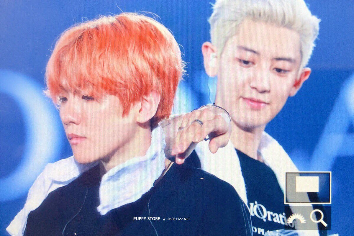 puppystore_1992's tweet photo. 190721 EXplOration 찬백🙊 https://t.co/H1fhPzMyPl