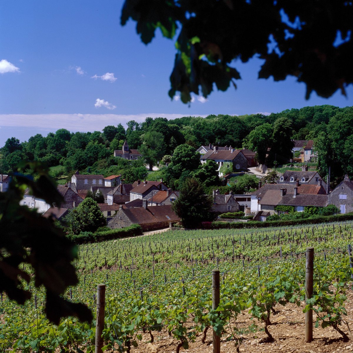 Did you know Givry was the favorite wine of the French King Henri IV (1553-1610)? The Givry 1er Cru, Dom. Joblot, "Clos de la Servoise", 2016 is available <a href="/SeaContainers_/">Sea Containers London</a> 
It's certainly got the royal seal of approval from us! #Bourgognepassiton #Bourgogne