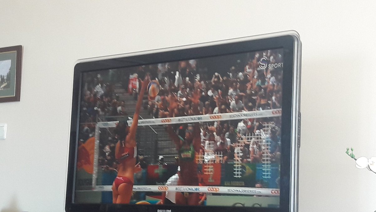 Plaj voleybolu gibi güzide bir spor varken ömrümüzü futbol denen zillet sporun peşinde harcadık..