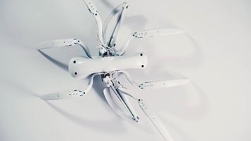 jenstirrup's tweet image. #BionicRobots powered by #AI : Future of #Robotics #technology #Robots #ArtificialIntelligence #techbots buff.ly/2LVBwHL