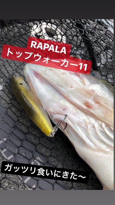 Unozawahitomiさんのイラスト一覧