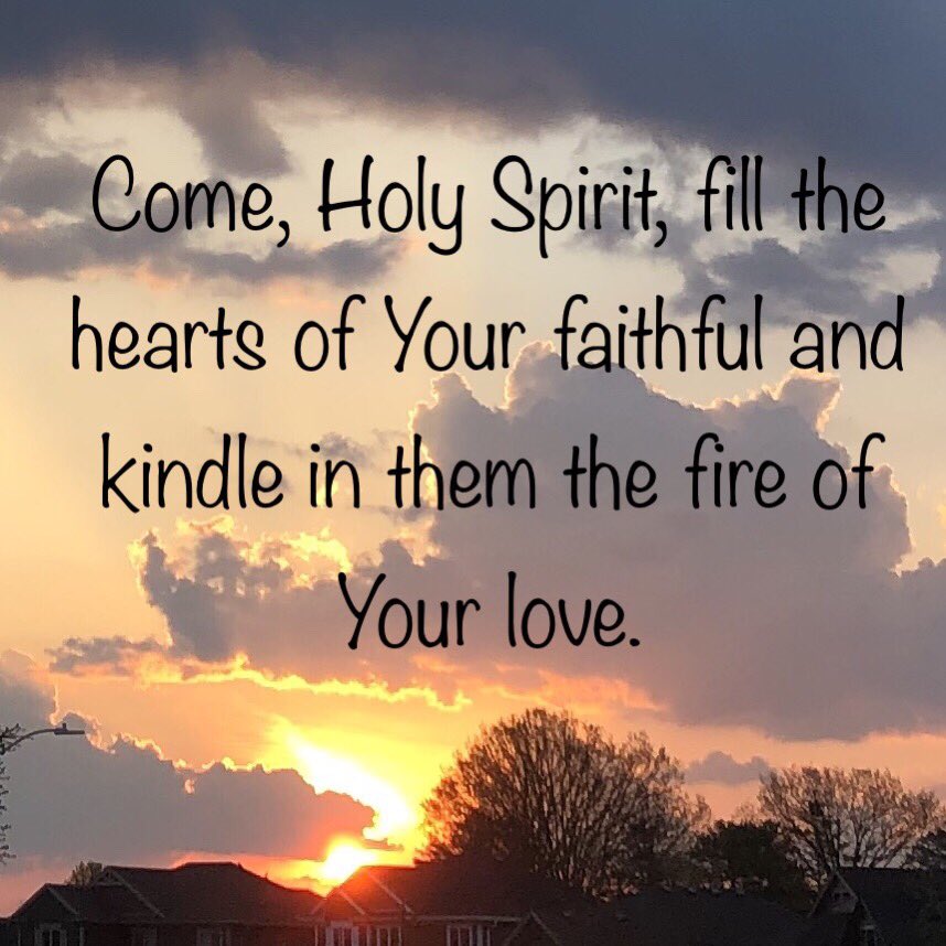 CristinaBerry10's tweet photo. Ask the #holyspirit to empower your prayers and carry them to the Father in the name of Jesus. #bhsummer19 #photochallenge @bustedhalo https://t.co/6EeJRcxt7Q
