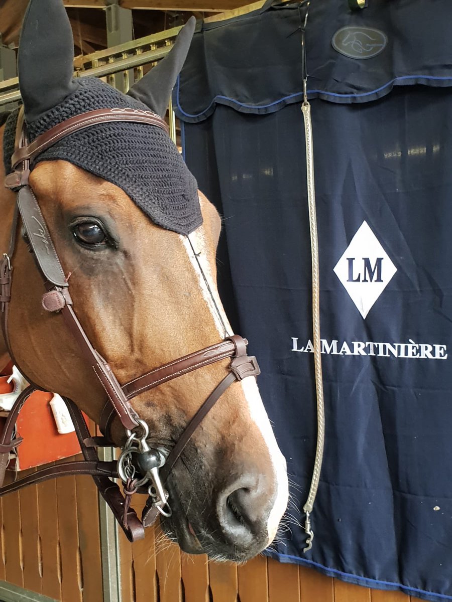 GeodeColigny's tweet image. Raimondo du Plessis prêt pour le GP 4* de Samorin 😈 Numéro 30 !