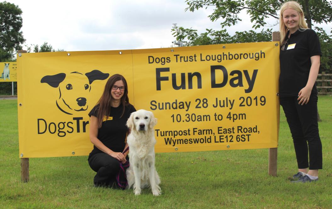 DT_Loughborough's tweet photo. It's officially ONE WEEK until our Fun Day!! πΎβοΈ
You can read more about the big event here: https://t.co/VCGeunyJXs
Team members Hannah & Emmie have been hard at work along with office dog Iris! @DogsTrust #adifl #funday #loughborough #adoptdontshop #event #dogstrustfunday https://t.co/hSEnGltfjC