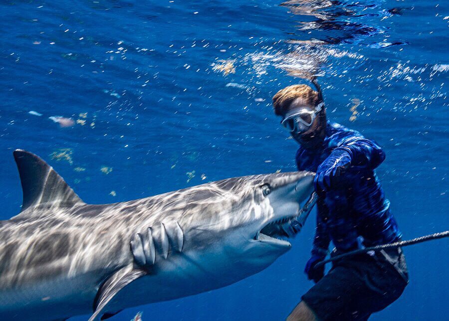 tannermansell's tweet photo. 🦈💪🏽 https://t.co/TreZPLn4xj