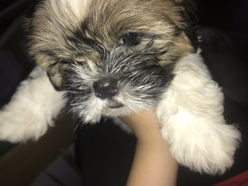 _narohyerdua's tweet photo. Naghahanap ng ka-late night talk? Dito pa lang mapupuyat ka na sa gabi kaya tara! Call 578-61-80 (legit) https://t.co/FJbM42ek7M