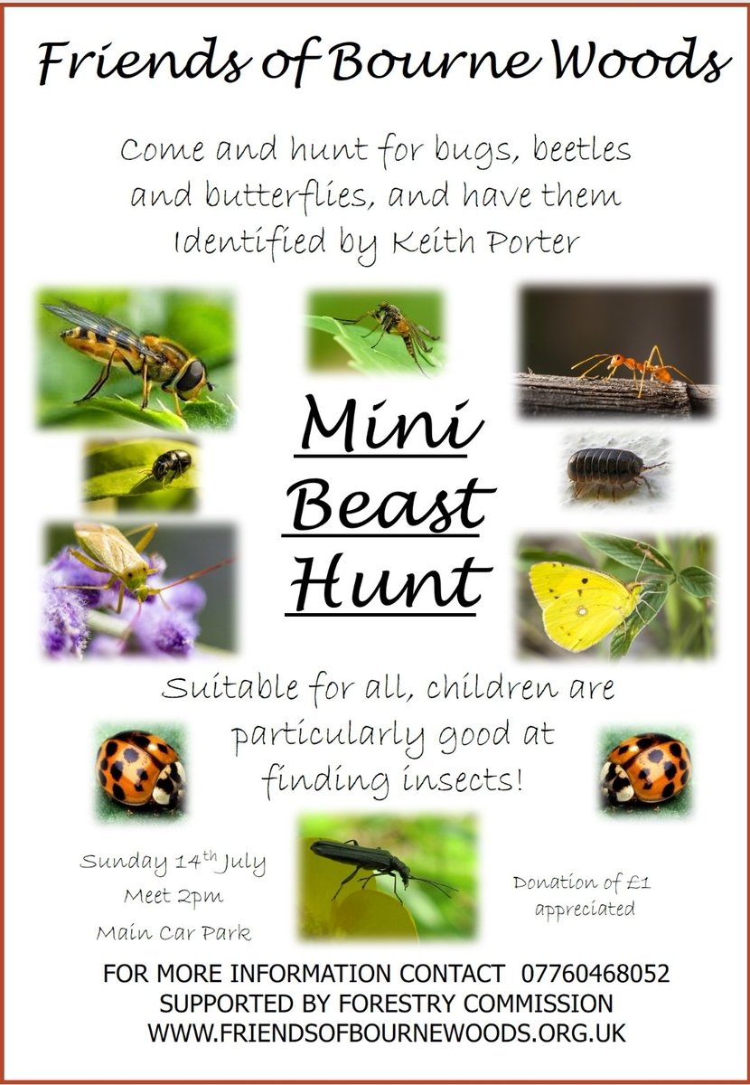 FriendsofBourneWoods tweet media