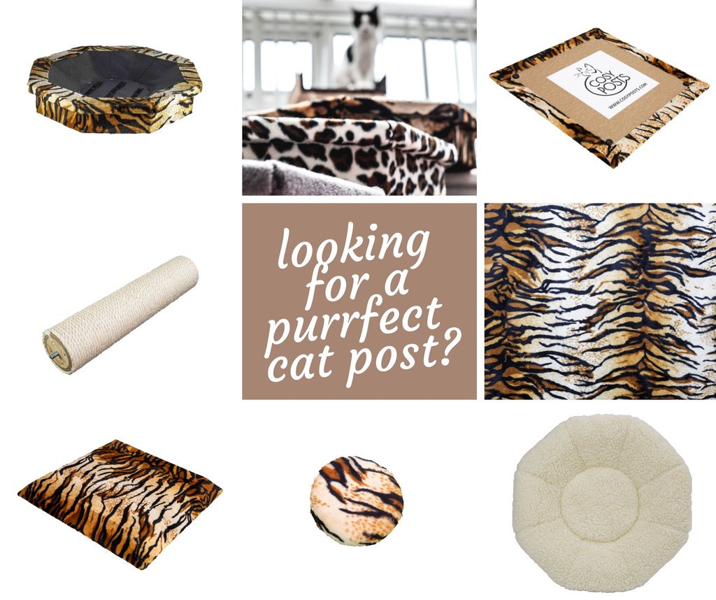 CosyPosts's tweet photo. If your answer is YES, we've got something for you🤗🤗🤗 A selection of different posts... colours... patterns... styles... depending on your preferences... home decor... home interior... Make your own #CosyPost for your furry friend this summer 😻😻 Fully handmade in the U.K.🇬🇧 https://t.co/VDk2ZKIvn9