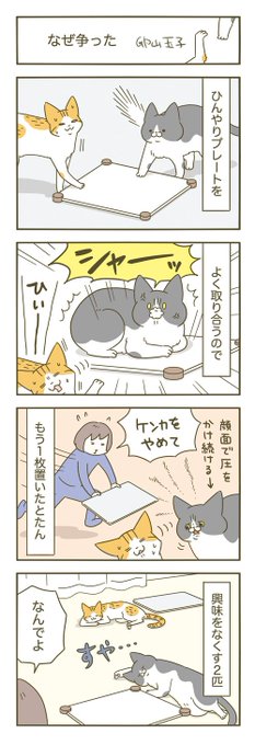 猫まんが 