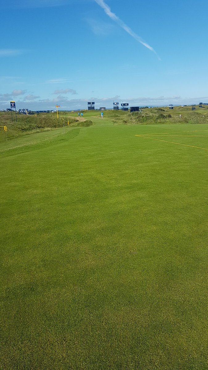 MicHayes10's tweet photo. @TigerWoods on the 6th here, £20 I'll hit it closer! https://t.co/sTHZd1xMsQ