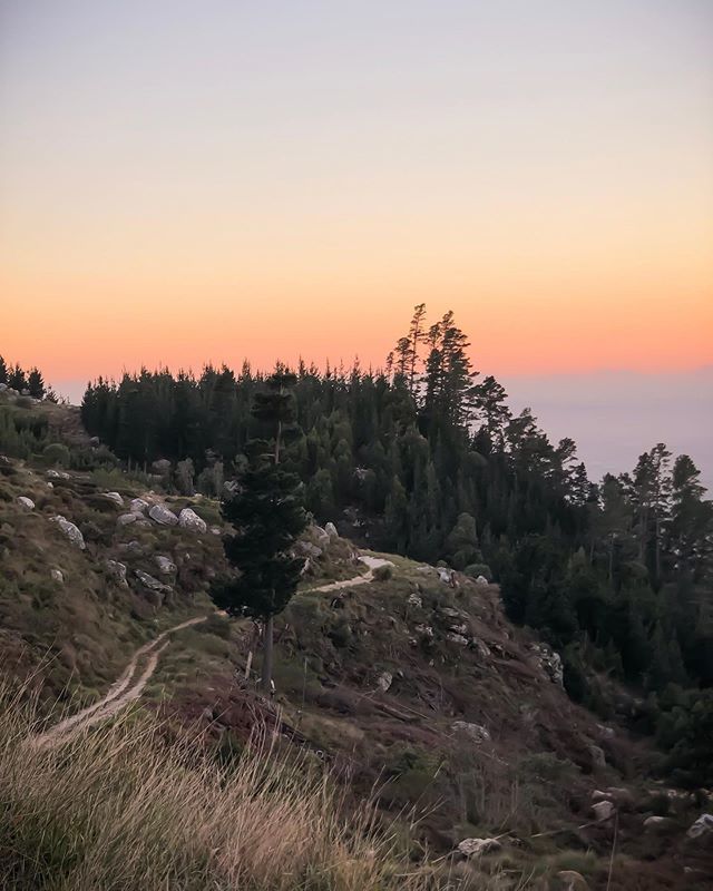 adv_4_beginners's tweet photo. The Great Outdoors .
.
.

#adventuringforbeginners #tablemountainnationalpark #constantianek #hiking #hikingadventures #outdoors #nature #wilderness #intothewild #sunset #goldenhour #picoftheday #iphonex #iphonography https://t.co/hVBnG1qOpz https://t.co/NIkTVq5Yn1
