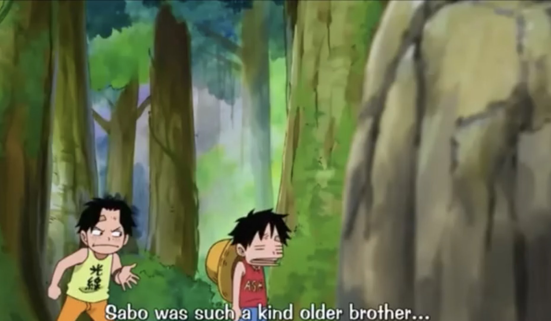 One Piece Quotes Pa Twitter Ace Luffy Bickering Since Young Onepiece T Co J1qedhkame Twitter