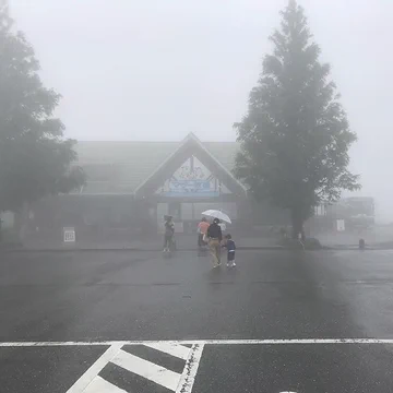 画像 / Picture