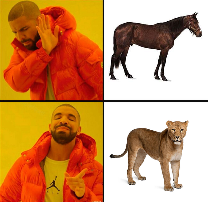 Me, designing Queenie: 