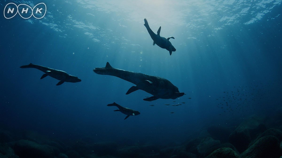 ダーウィンが来た 今夜9時は 恐竜超世界 恐竜時代の海を支配した史上最強の海竜 モササウルス が主人公 ジーナと名付けた巨大モササウルスの暮らしに密着します 人間そっくりの愛情たっぷりな子育ては感動的 T Co 9zictmvg3m 恐竜 ダーウィンが来た 今夜9時は 恐竜超世界 恐竜時代の海を支配した史上最強の海竜 モササウルス が主人公 ジーナと名付けた巨大モササウルスの暮らしに密着します 人間そっくりの愛情たっぷりな子育ては感動的 T Co 9zictmvg3m 恐竜