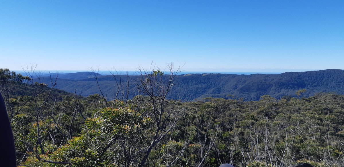 EvaHspng's tweet photo. Stunning views of the Gold Coast from the #SurprisingRock! @binnaburra Lamington National Park with students and staff from @GRIDD_GU #offGRIDD #hikingadventures https://t.co/aHzy55ZS0w