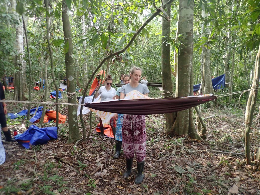 QSeniorTrips's tweet photo. Setting up camp in the jungle #TeamTimbaTimba #Borneorainforest @TheQueensSchool @CampBorneo https://t.co/0qUfwyip4B