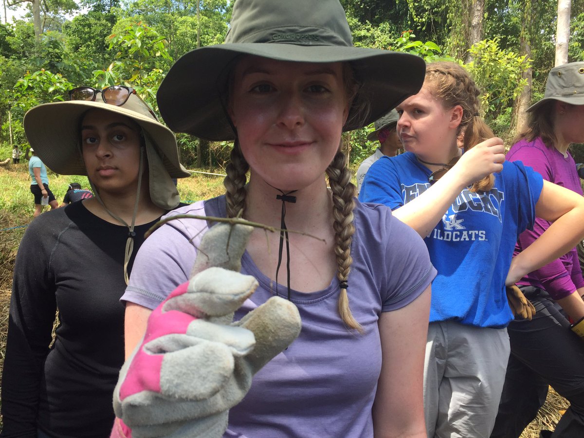 QSeniorTrips's tweet photo. Jungle night trek and meeting some of the wildlife! #TeamTimbaTimba #CampsInternational @TheQueensSchool @CampBorneo https://t.co/8DaNSbsWNf