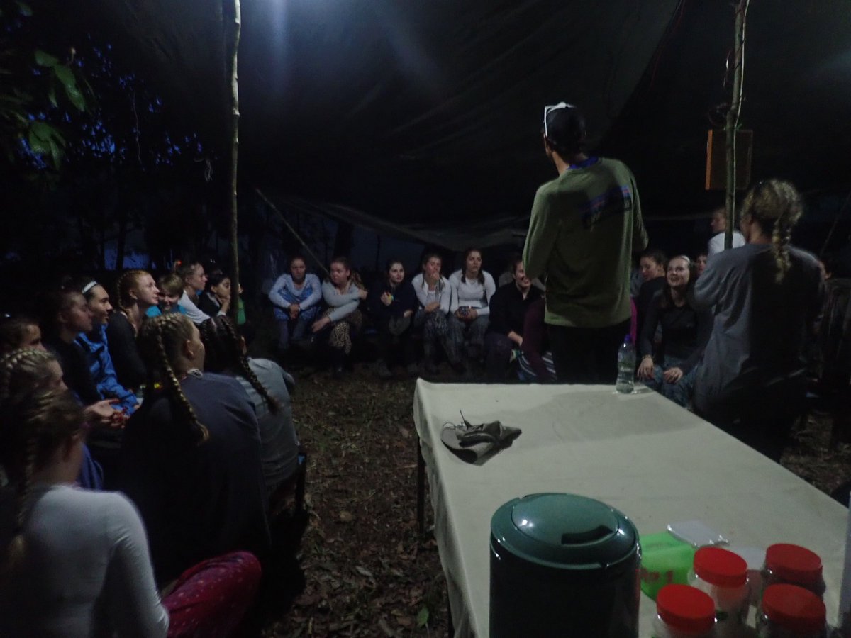QSeniorTrips's tweet photo. Jungle night trek and meeting some of the wildlife! #TeamTimbaTimba #CampsInternational @TheQueensSchool @CampBorneo https://t.co/8DaNSbsWNf