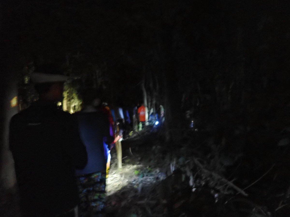 QSeniorTrips's tweet photo. Jungle night trek and meeting some of the wildlife! #TeamTimbaTimba #CampsInternational @TheQueensSchool @CampBorneo https://t.co/8DaNSbsWNf