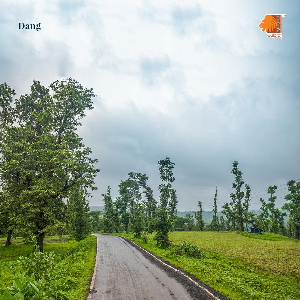 It is always worth taking the scenic route. 
#Leisure #GujaratTourism #naturewonder #scenicroutes
