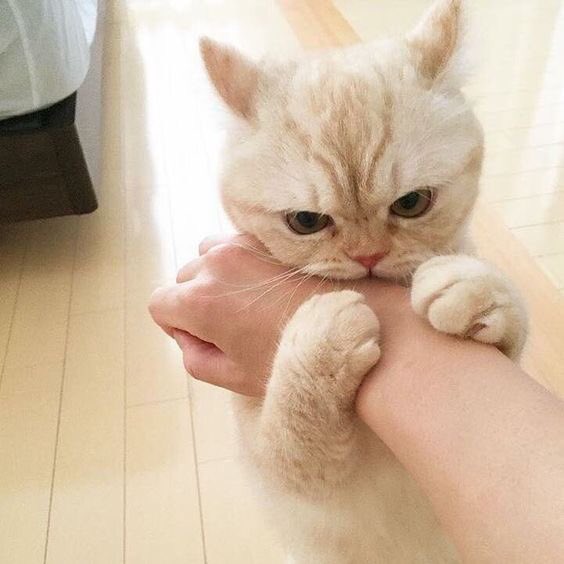 ซาโนวี่ ☁️ tweet media