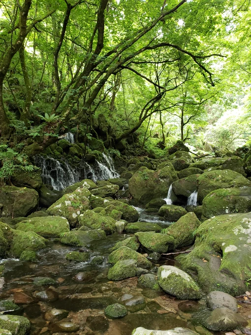 涼しい 