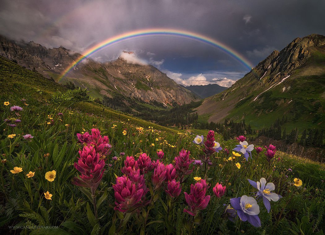 ramblingsloa's tweet photo. God puts rainbows in the clouds
So that each of us
In the dreariest and most dreaded moments
Can see a possibility of hope.

Maya Angelou
Pic Candace Dyer https://t.co/b4YIT3U1aF