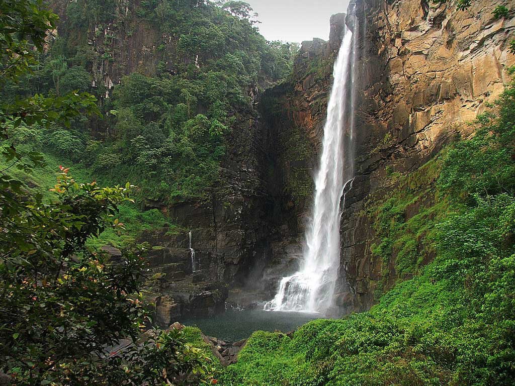 srilankan_views's tweet photo. #Beauty_of 🇱🇰#Srilanka🇱🇰

#Bambarakanda_Falls

The tallest #waterfall yet in #Srilanka which boasts a height of 789 feet. Located in a dense forest around #Bandarawela which is very difficult to get through but still is a well worth journey.

#kalupahana | #Srilanka https://t.co/oDEOHeltCP