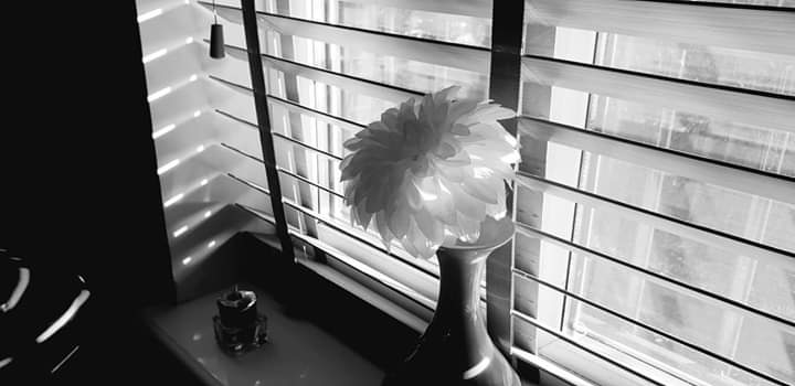 PGPhotography5's tweet photo. https://t.co/DOCEszuPpS