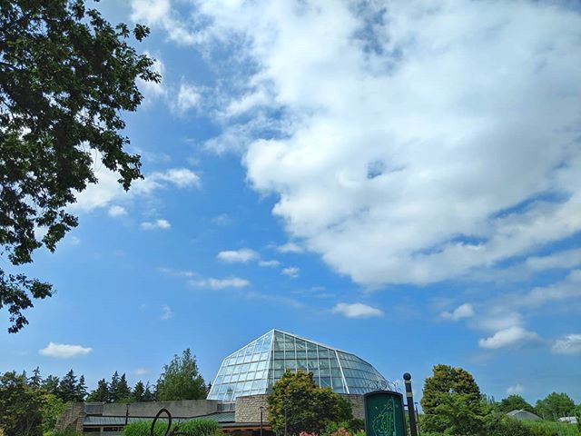 GeekEngineering's tweet photo. Against the Sky
.
.
.
.
#niagarafalls #niagara #ontario #canada #ohcanada #butterflyconservatory #botanicalgarden #greenhouse #hothouse #blueskies #sky #clouds #glass #glassroof #glassceiling #travel #travelphotography #teampixel #pixel2 #pixel2xl #world… https://t.co/Dh5qbph4em https://t.co/EPLKtkitlD
