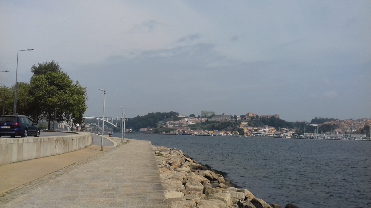 AMRondelli's tweet photo. What a great week!  A combination that i 💜:  glia science; vinho verde, sunshine and amazing company #glia2019 in Porto, Portugal. Thank you for organizing such a great conference. #NetworkGlia and all organisers &amp; speakers. https://t.co/elstdziWBh