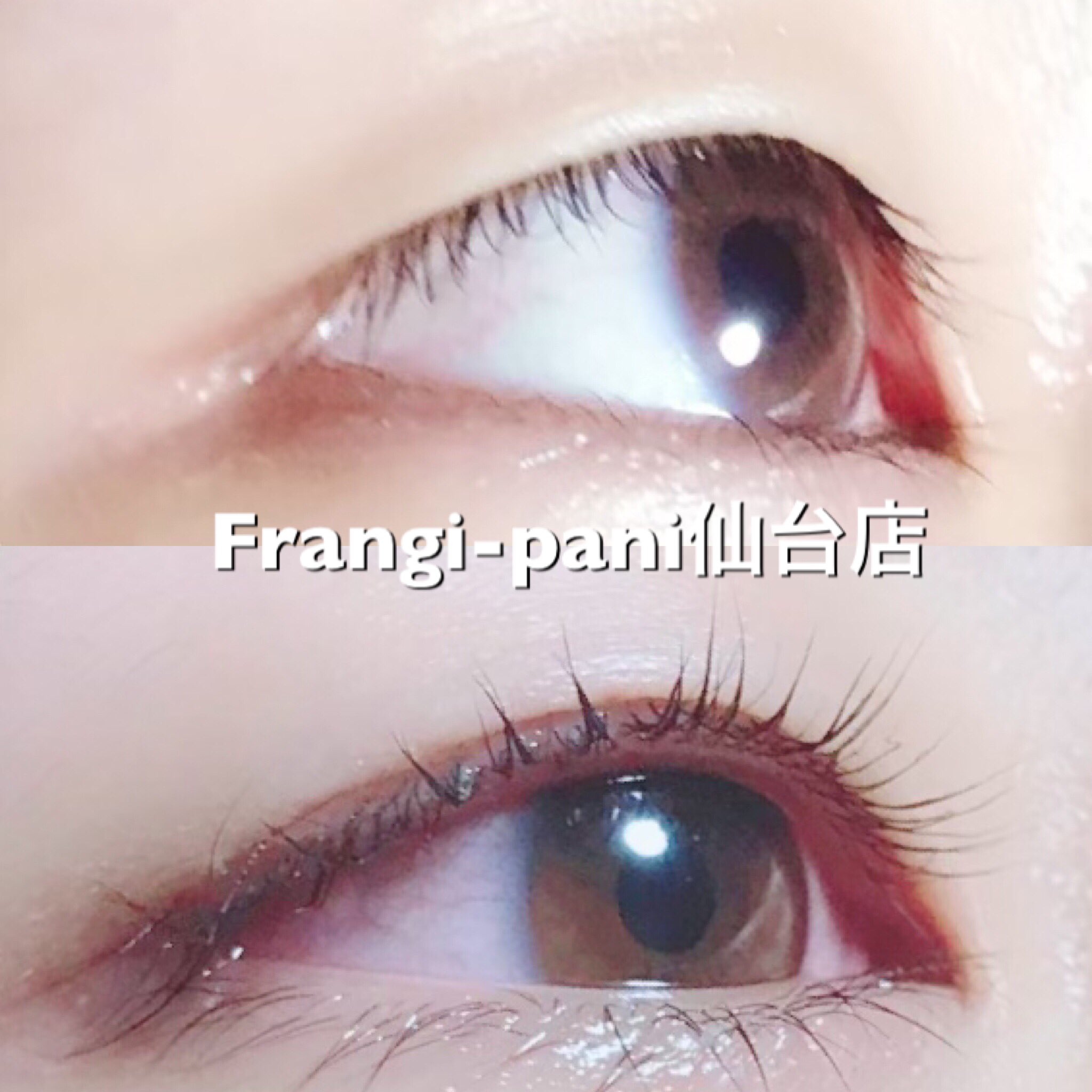 Frangi Pani仙台店 Yukarieyelash Twitter