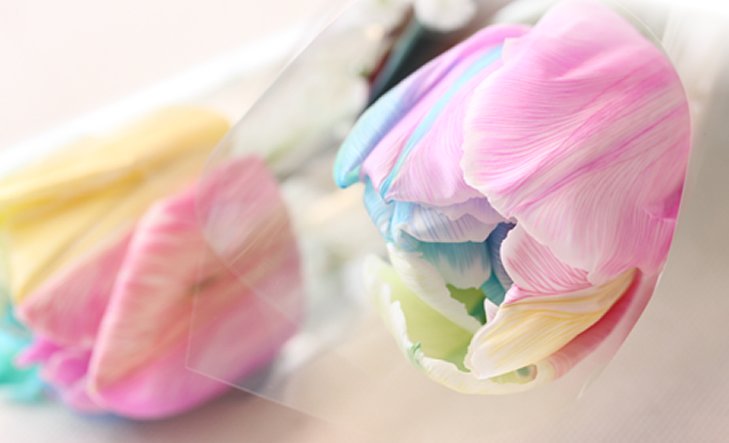 Letter_flowers's tweet photo. ◆レインボーチューリップ◆

人為的に作製された花。

染料を茎から吸わせて花の部分に着色させて作られます。

花言葉は『希望の架け橋』 https://t.co/Q55VDPUyhO