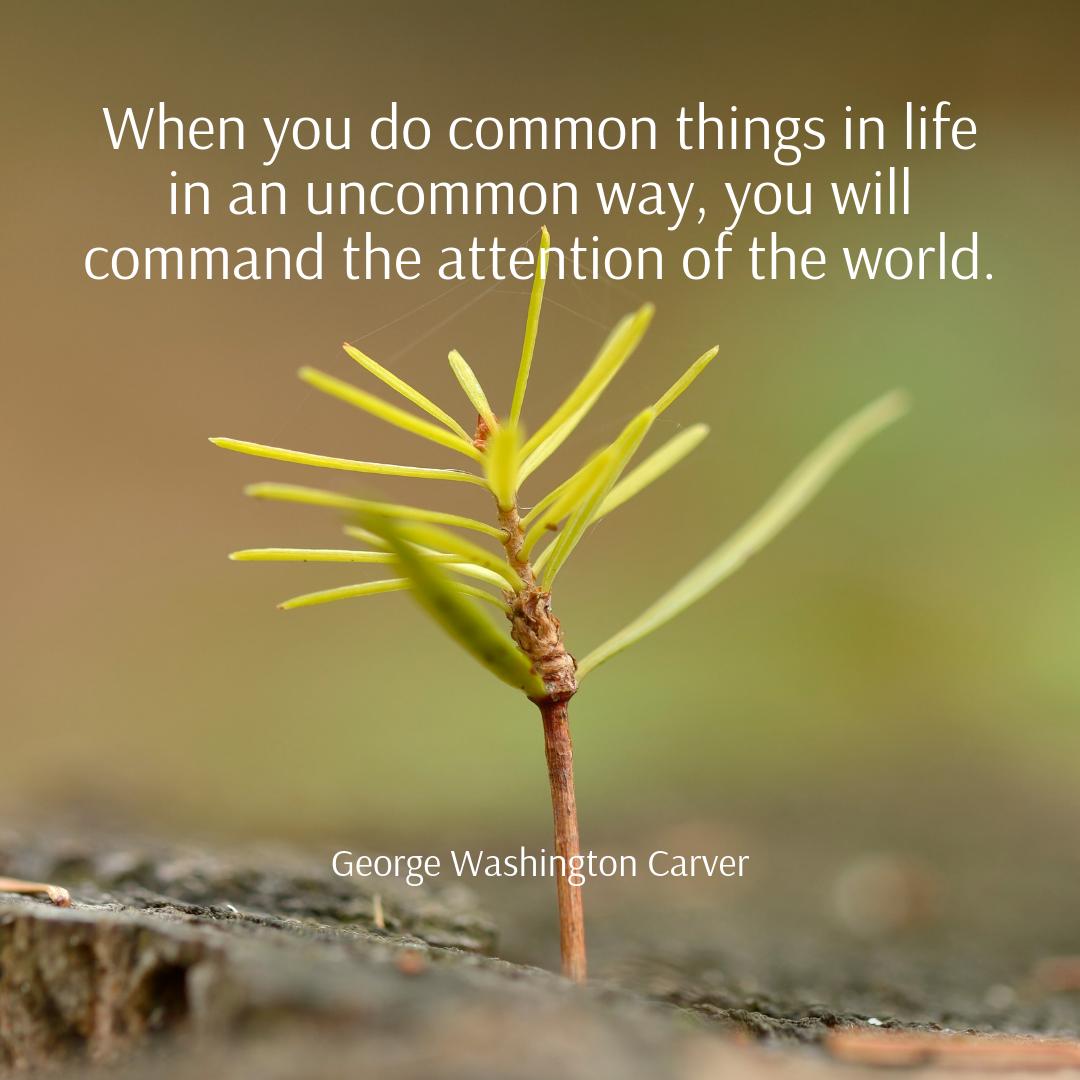 OOTBScience's tweet photo. "When you do common things in life in an uncommon way, you will command the attention of the world." George Washington Carver #science #quotes https://t.co/o08Gii6fnY