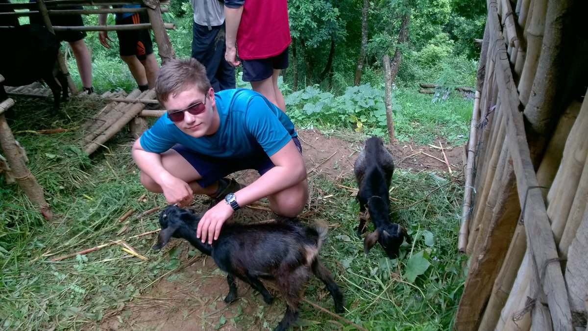 Alan Holmes tweet media