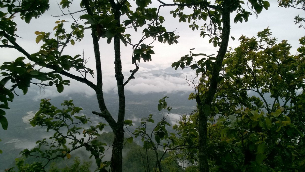 Alan Holmes tweet media