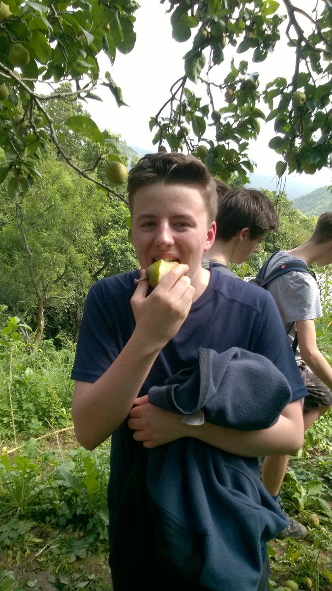 Alan Holmes tweet media