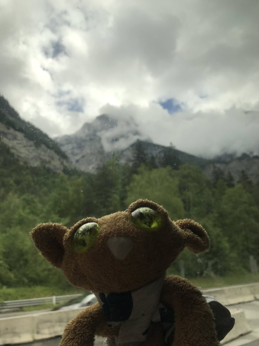 SHSsadcat's tweet photo. We’ve made it to Austria!! #sadcatontour #AustriaSHS19 https://t.co/IZbN2IjG5p