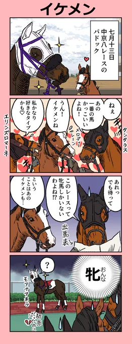 競馬まんが「イケメン」男勝りで牡馬のように逞しかったジェンティルドンナを母にもつモアナアネラ。今回は二着でしたが三歳なのでまだまだこれからですね!勝ったタンタラス、おめでとうございます(*^^*)#モアナアネラ #メロディーレーン #タンタラス #エリンズロマーネ #四コマ漫画 