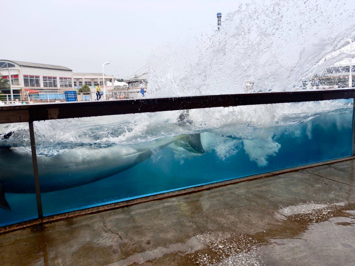 Uzivatel 横浜 八景島シーパラダイス公式 Na Twitteru この水量 圧巻 ふれあいラグーン ずぶ濡れパーティタイム では アニマル消防隊が大活躍 バンドウイルカのアレカとラムも自慢の尾びれで放水開始 詳しくは T Co Jub2eoawgw 八景島 Uzivatel 横浜 八景島シーパラダイス公式 Na Twitteru この水量 圧巻 ふれあいラグーン ずぶ濡れパーティタイム では アニマル消防隊が大活躍 バンドウイルカのアレカとラムも自慢の尾びれで放水開始 詳しくは T Co Jub2eoawgw 八景島