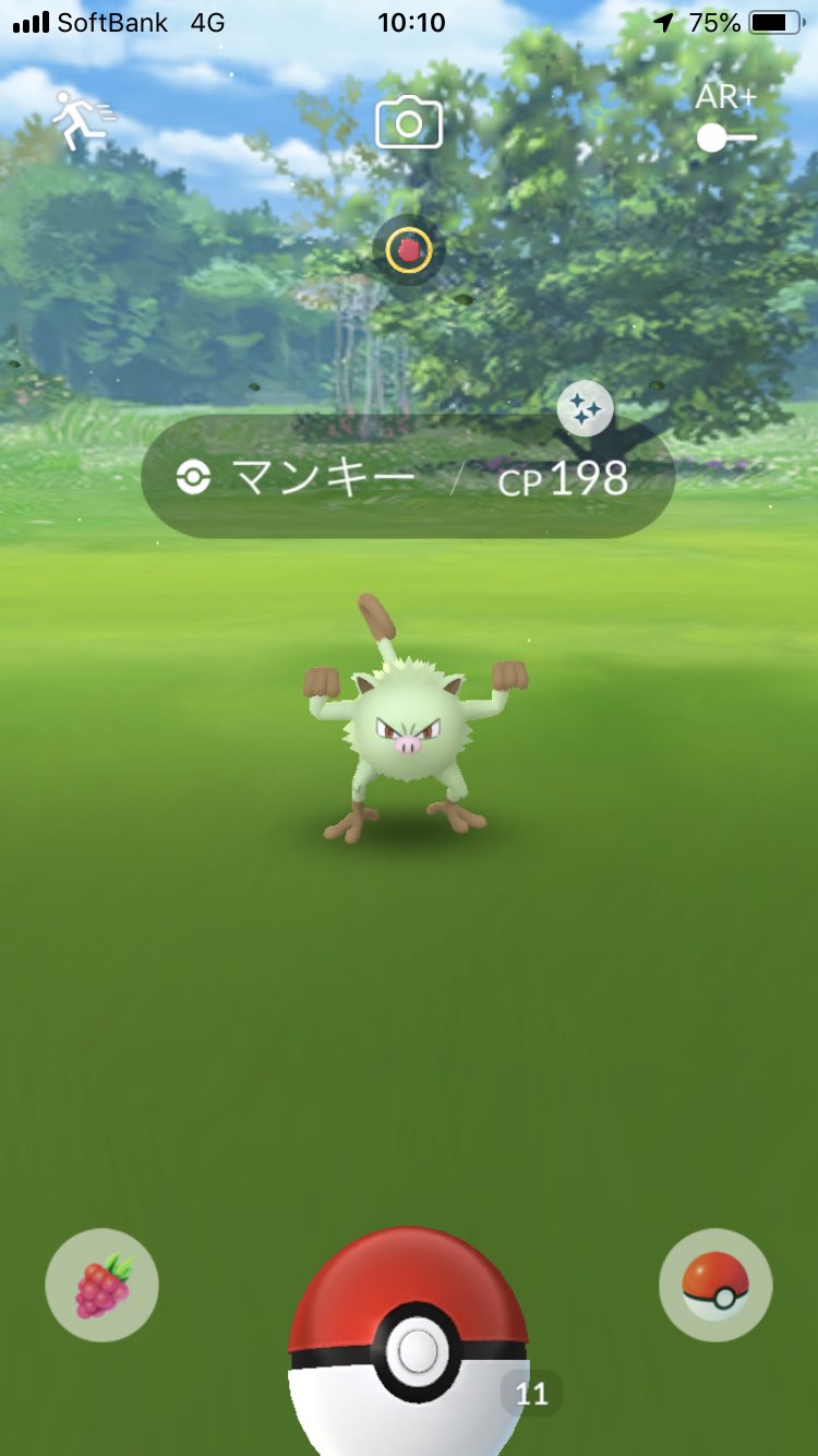 組長 ポケモンgo 皆様お疲れ様です エンテイレイドは人が集まるか心配でしたが 地元の方達と一緒に楽しみました 色違いは残念ながらgetならず 地元の方と母がget出来たので良かったです 違う色違いは今朝getしました ポケモンgo 色違い