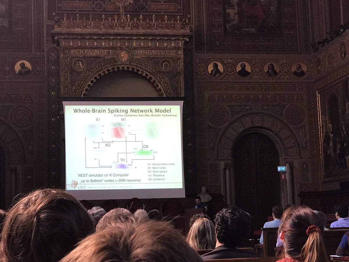 carlosg_jujuy's tweet photo. Whole #brain model and simulation on #Kcomputer to be presented today at poster session #CNS2019Barcelona https://t.co/aQOCrCFp11