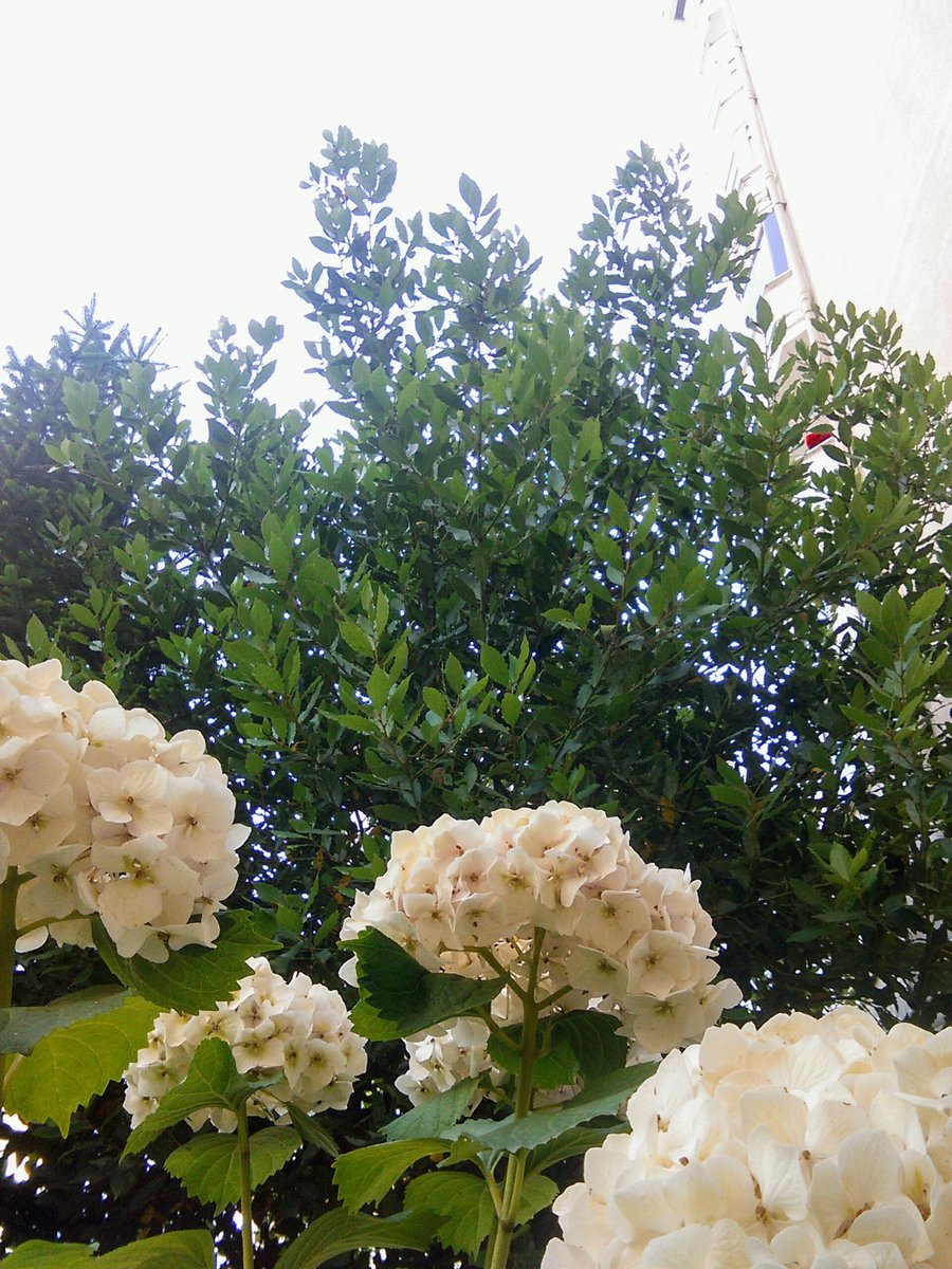 thera_forJK's tweet image. #Clouds #Sky #ForJK /27/ 
 
*140719 @BTS_twt