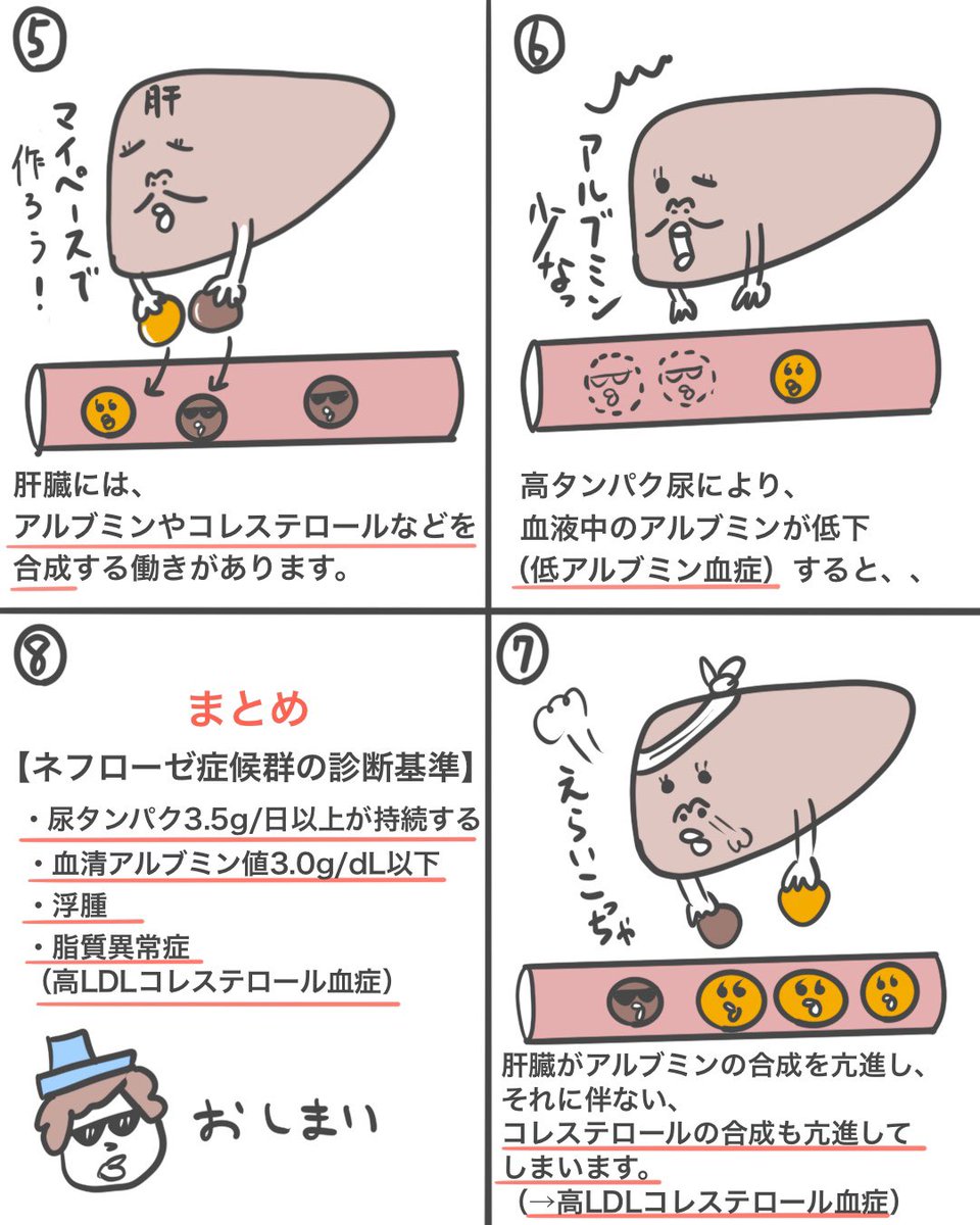 ゴロ 解剖生理イラスト Twitterren 漫画で分かる ネフローゼ症候群 超速で仕組みが理解できると思います