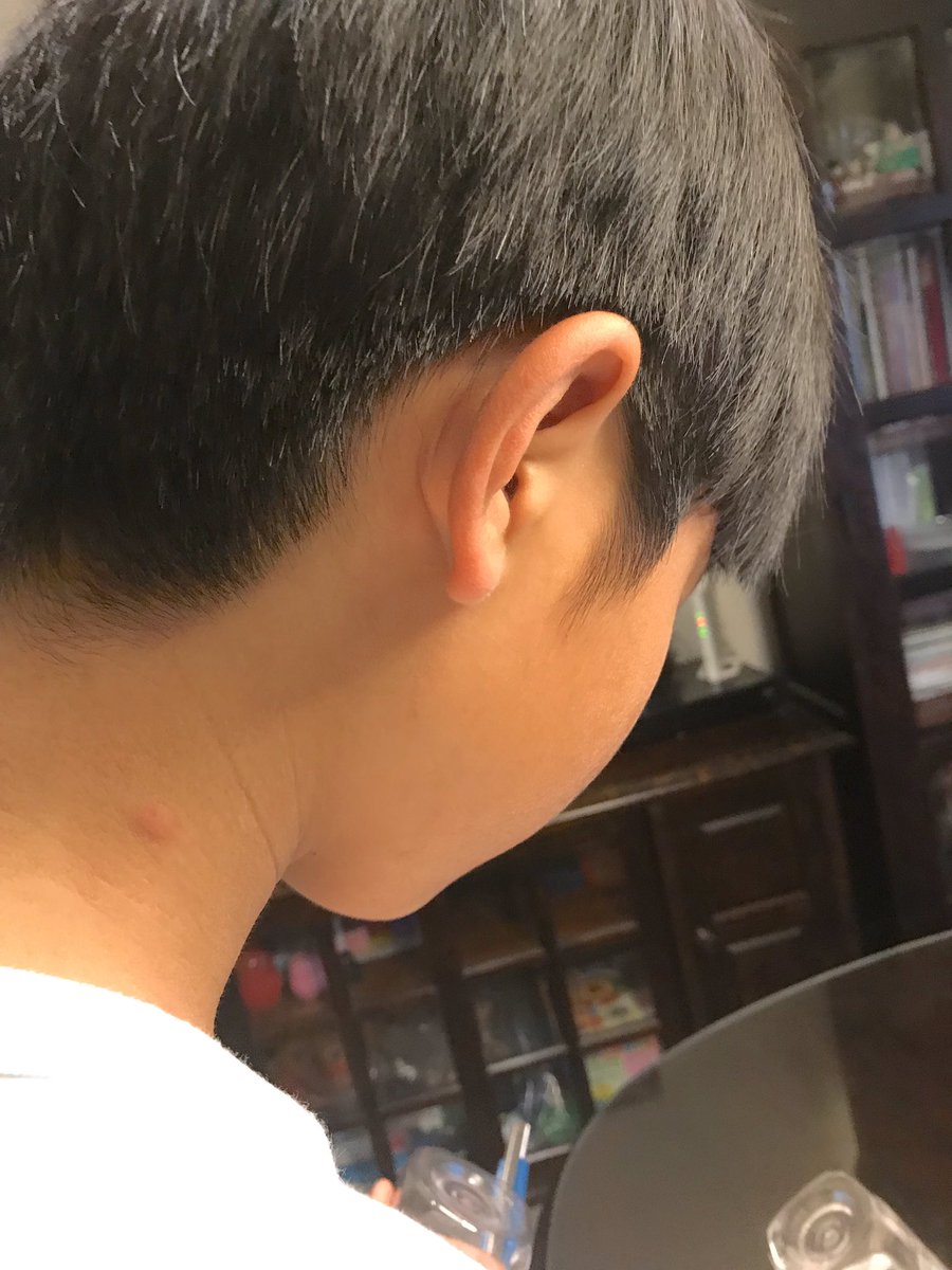 星野源髪型 星野源髪型