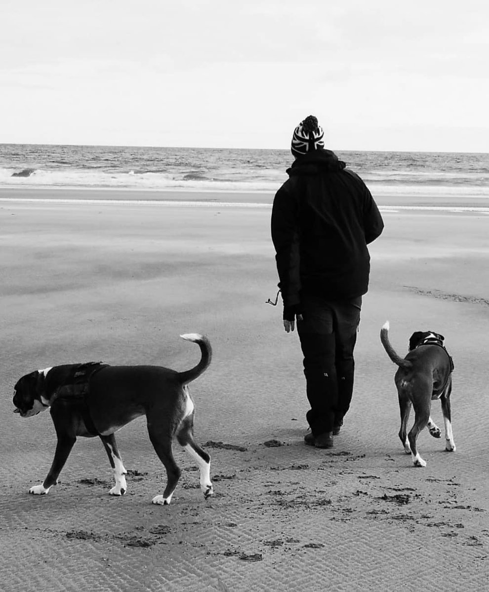 ameliaalice1111's tweet image. Home for a week ❤️ 07:30am walk. Perfect start to the day. @MartD08

#homeatlast #earlymorningwalk #happybeyondwords #happyboxers #willowtheboxer #pixietheboxer