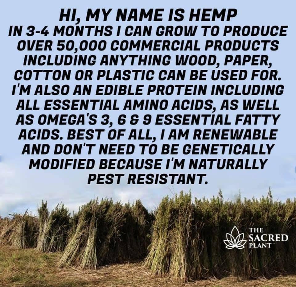 HerbalDigital's tweet photo. https://t.co/XWBUhyQH4Q